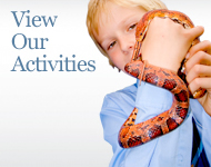 View Our Activities