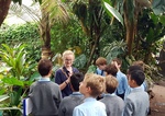 Year 6 Tropical Rain forest field study