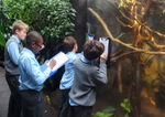 Year 6 Living Rainforest field trip