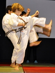 Karate Head - Flying Dragon -demonstration