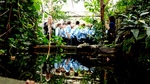 Year 6 Tropical Rain forest field study