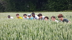 PALS boys clean up litter outside the school and in the forest