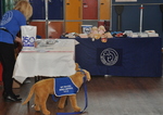 Some of the stalls at the Fair