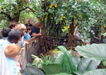 Year 6 Living Rainforest field trip