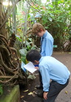 Year 6 Living Rainforest field trip