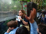 Year 6 Living Rainforest field trip