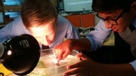 Year 8 Science - Photosynthesis - collecting oxygen