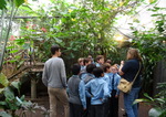 Year 6 Living Rainforest field trip