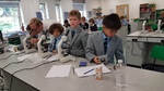 Bradfield Science Challenge Year 5