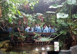 Year 6 Tropical Rain forest field study