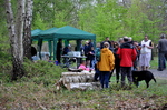 Sponsored Walk - Windsor Great Park