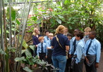 Year 6 Living Rainforest field trip