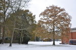 The grounds in a coat of snow!